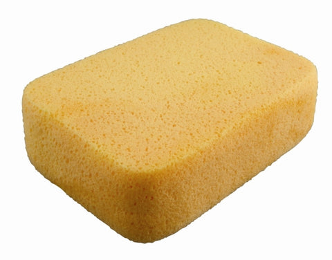 Super Sponge